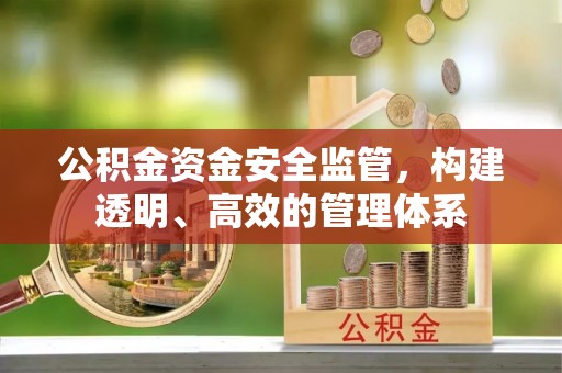 霍邱公积金资金安全监管，构建透明、高效的管理体系